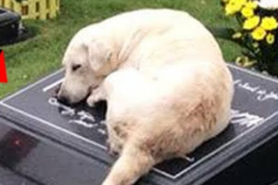 BAKIT KA NANDIYAN, BANTAY? HINDI MO NAMAN SIYA KAKILALA…