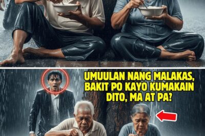 Umuwi nang biglaan ang bilyonaryo, at sa gitna ng ulan sa gabi, nabunyag ang lihim ng pamilya!