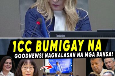 Ang Pagbagsak ng Dayuhang Panghihimasok: Bagong Pag-asa sa Ganap na Paglaya ni FPRRD Mula sa Pandaigdigang Kontrobersya