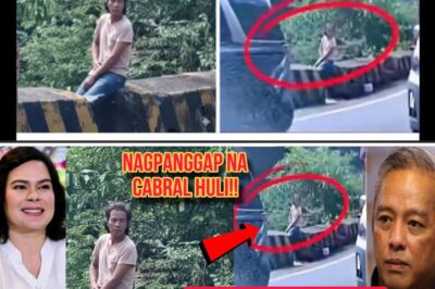 Ang Misteryo sa Tulay at ang Labanan sa Smartphone: May Nagpanggap nga ba at Ano ang Lihim na Pilit Itinatago ng mga Makapangyarihan sa Likod ng Trahedya?