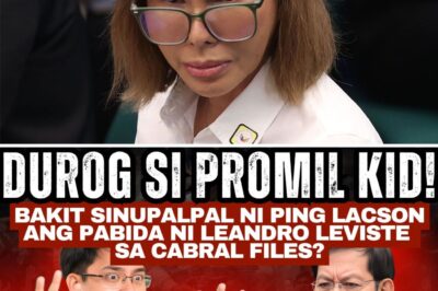 DUROG SI PROMIL KID: Bakit SINUPALPAL ni Ping Lacson ang PABIDA ni Leandro Leviste sa Cabral Files?