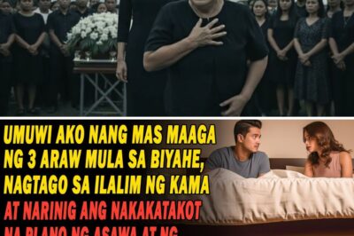 Umuwi Ako 3 Araw Nang Mas Maaga, Nagtago Sa Ilalim Ng Kama At Narinig Ang Asawa At Kabit Na May Bala