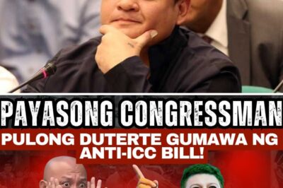 THE ‘CLOWN’ PRINCE OF LEGISLATION? Rep. Paolo Duterte’s Shocking ‘Treason’ Bill to Block ICC Cooperation Sparks Ridicule and accusations of Panic