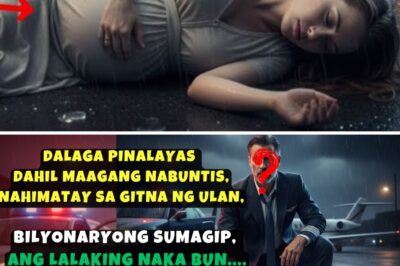 DALAGA PINALAYAS DAHIL MAAGANG NABUNTIS, NAHIMATAY SA GITNA NG ULAN,BILYONARYONG SUMAGIP, ANG