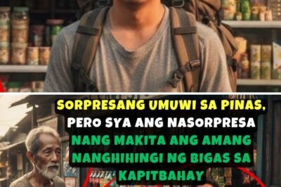 AKALA KO SA PAG-UWI KO, ISANG MASAYANG SALUBONG ANG MATATANGGAP KO… PERO ISANG MASAKIT NA KATOTOHANAN PALA ANG DUDUROG SA PUSO KO