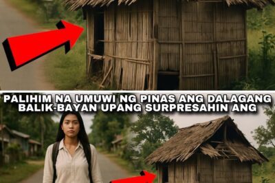 AKALA KO SA PAG-UWI KO, ISANG MASAYANG YAKAP AT MAGARANG BAHAY ANG BUBUBUNGAD SA AKIN… PERO ISANG MASAKIT NA KATOTOHANAN PALA ANG DUDUROG SA PUSO KO