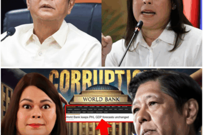 Hindi Ko Inaasahan na Mangyayari Ito: Biglaang Pagsabog ng Kontrobersya sa Kamara, Lalong Umiinit ang Eksena