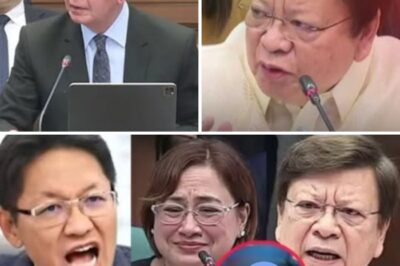 Testigo Naglabas ng Video nina Marcoleta at Sarah Discaya, Relasyon Umano Nabisto Habang Umiinit ang Pagtatalo sa DOJ