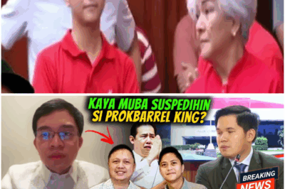 Matapang na Pagtatanong: Reporter, Hinarap si Abalos ukol sa Isyu ng Pananagutan ng mga Opisyal