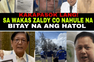 PAGDAKIP NA NAGPAGULO SA MUNDO! ZALDY CO, DAKIP NA SA JAPAN? Ang Hatol na Bitay, Totoo Ba o Gawa-gawa Lamang?