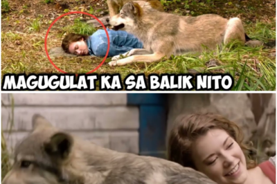 Babae, Iniligtas ng Asong Lobo at Leon—Pero Mas Nakagugulat ang Natuklasan Nila Pagbalik