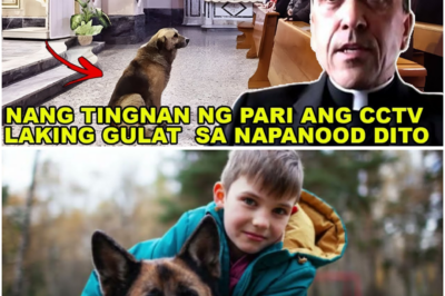 Araw-araw Pumupunta ang Aso sa Loob ng Simbahan—Nang Silipin ng Pari ang CCTV, Nabunyag ang Nakakaiyak na Dahilan