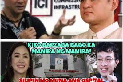 Lumalalang Umiinit: Allegasyon ng Paglipat ng Pondo ni “Cong Meow” Patungo sa Proyektong Animal Shelter