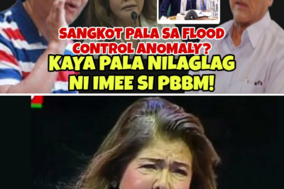 The Unseen Rifts: Why Whispers of a Marcos Sibling Fallout Echo So Loudly Now