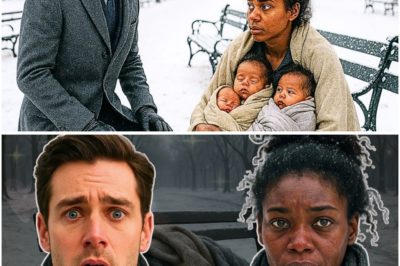 Bilyonaryong CEO Nakakita ng Dalagang May Tatlong Sanggol na Natutulog sa Parke—At Dinala Sila sa Kanyang Mansyon