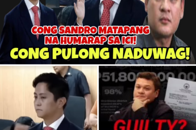 The Viral Clash That Left Sandro Stunned: The Real Story Behind the Davao Project Uproar