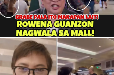 The Viral Mall Meltdown: Rowena Guanzon Caught in Camera, Sparking National Debate on Public Decorum