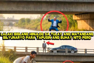 Ang Lihim sa Ilalim ng Tulay: Ang Kwento ng Batang Basurero na Naging Susi sa Pagbagsak ng Isang Walang-Pusong Bilyonaryo