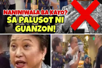Ang Kuwento sa Likod ng Sigaw ni Guanzon: Sino ang Nagsasabi ng Totoo, at Bakit Nito Inalog ang Social Media?