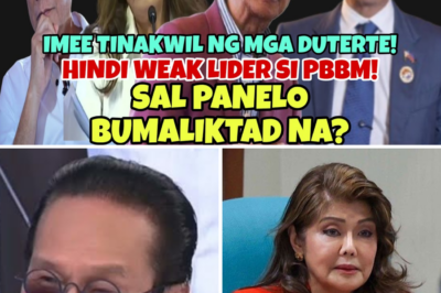 The Marcos Legacy Divide: Panel’s Bold Claim That Imee’s Actions Are Self-Serving While Praising PBBM