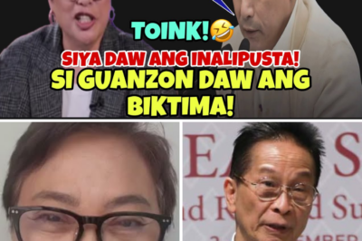 The Viral Clash of Narratives: Guanzon’s Accusation of Abuse Met by Robin Padilla’s Fiery Defense