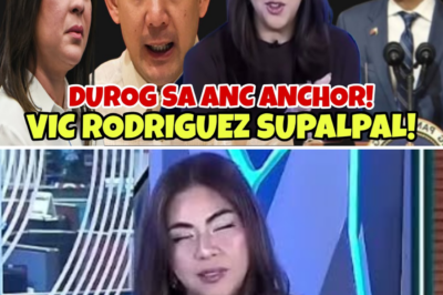 The Unstoppable Logic: Karmina Constantino Grills Vic Rodriguez on Corruption and the Sara Duterte Endorsement