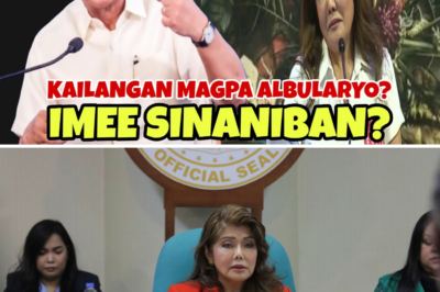 The Public Plea and Viral Speculation: Why President Marcos Jr.’s Concerns Over Imee’s Health Sparked a Bizarre Debate About Spiritual Healing