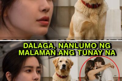 ASONG BANTAY: ANG MABAHONG SEKRETO NG ISANG BOYFRIEND NA NALANTAD DAHIL SA ISANG GOLDEN RETRIEVER