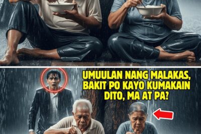 Ang Lihim na USB: Pag-ibig, Pagtataksil, at ang Huling Paghaharap sa Mansyon ng mga Villarial.