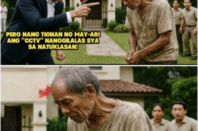 Ibinintang sa Pob­reng Hardinero ang Nawawalang Alahas sa Mansyon—Ngunit Nang Personal Itong Suriin ng May-ari, Nabunyag ang Katotohanan