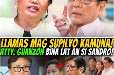 “Natakot sa Katotohanan?” Atty. Guanzon, Binanatan sina Marcos Jr., Sandro at Romualdez sa Matapang na Pahayag