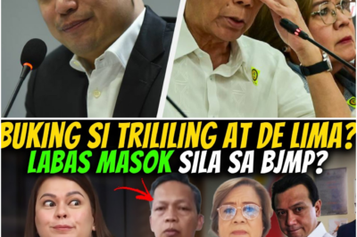 “Bubuking ang Kasinungalingan?” Trillanes at De Lima Umano’y Bistado; Ramil Madriaga, Kriminal nga ba?