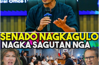 NAKU?! NAGKAGULO SA SENADO: Mainitang Sagutan Dahil sa Bilyon-Bilyong Pisong Badyet, Buong Bayan Napatanong