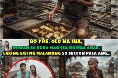 80-Taóng-Gulang na Ina Iniwan sa Kubo ng mga Anak—Matinding Pagsisisi Nang Malamang May Iniwan Palang 50 Milyon