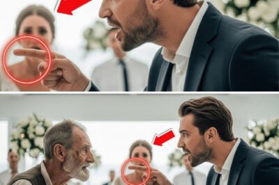 Inakala Nilang Pulubi ang Ama Niya—Ngunit ang Rebelasyon ni Elena sa Harap ng Milyonaryo ay Nagpayanig sa Buong Mundo!