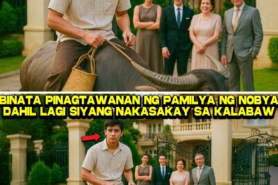 PINAGTAWANAN DAHIL NAKASAKAY SA KALABAW, PERO NANG MAGPAKILALA ANG BINATA, LUMUHOD ANG PAMILYA NG NOBYA NIYA SA GULAT!