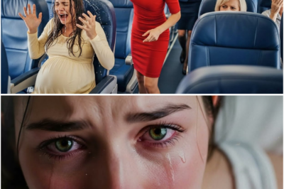 Mistress Binuhusan ng Tubig ang Buntis sa Eroplano — Tumayo ang Flight Attendant at Ibinulalas ang Isang Nakakagulat na Katotohanan