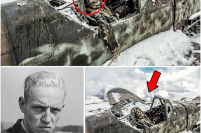 German Pilot na Nawala noong WWII, Natuklasan ang Bumagsak na Eroplano Makalipas ang 81 Taon sa Alps