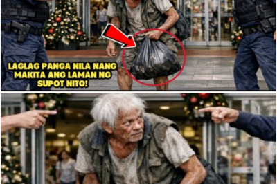 Matandang Magbobote na Bibili Sana ng Regalo, Hinarang ng mga Guwardiya sa Mall — Pahiya Sila Nang Mabunyag ang Katotohanan