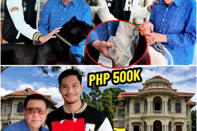 Chavit Singson Nagbigay ng ₱500K kay Emman Pacquiao? Manny Umalma sa Paratang, Jinkee Itinuring na Susing Saksi