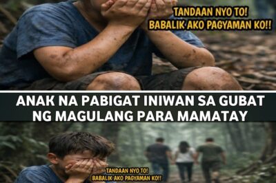 ANG ANINO SA GUBAT: ANG PAGBABALIK NG ITINAPONG ANAK