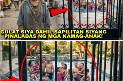 Milyonarya Nagkunwaring Mahirap sa Family Reunion—Sapilitan Siyang Pinalayas ng Sariling Kamag-anak