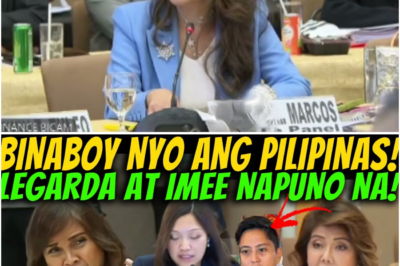 “Wag N’yong Babuyin ang Budget!” Sandro Marcos Hindi Nagpakita sa Bicam, Takot nga ba kay Tita Imee?