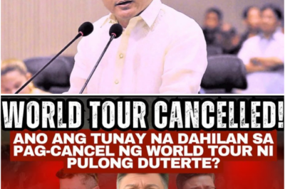 World Tour ni Pulong Duterte, Biglaang Kinansela: Mga Dahilan sa Likod ng Desisyong Nagpagulat sa Publiko