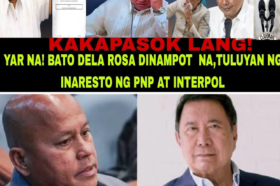 Sa Wakas! Ang Katotohanan sa Likod ng Usap-usapang Pagdakip kay Senator Bato Dela Rosa ng PNP at ICC Interpol