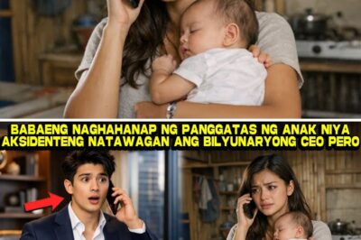 MULA SA DESPERADONG TAWAG TUNGO SA BAGONG BUHAY: ANG HINDI INAASAHANG PAGTATAGPO NG ISANG INA AT NG BILYUNARYONG CEO