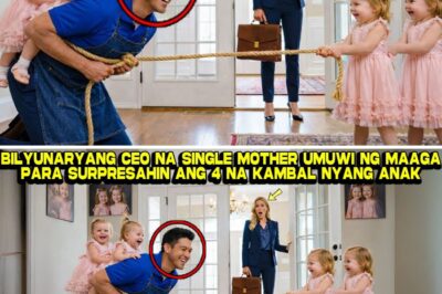 Ang Madilim na Sorpresa sa Mansyon: Paano Iniligtas ni Isabel Alcantara ang Kanyang Pamilya mula sa Kataksilan