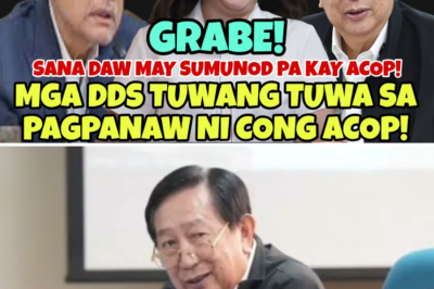 Ang Matinding Banggaan sa QuadComm: Bakit Nga Ba Ganito Kainit ang Tensyon sa Pagitan ng mga Kongresista at ng mga Tinatawag na Didilis?