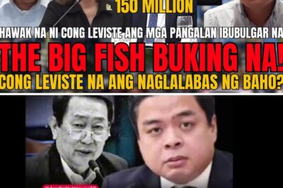 IBUBULGAR NA! Listahan ng mga ‘Big Fish’ at Bilyong Pisong Anomalya sa Flood Control, Inilantad ni Cong. Leviste