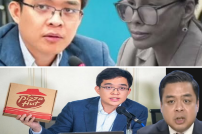Mula Dokumento Naging Pizza Box: Ang Matinding Engkwentro nina Cong. Leviste at Terry Ridon na Nag-Viral sa Social Media